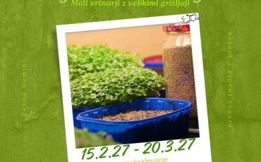 Green and White Modern World Environment Day Instagram Post (1)